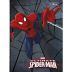Caderno Brochura Capa Dura 1/4 Top Spider-man 48 Folhas Capa 02 (pequeno)- Tilibra